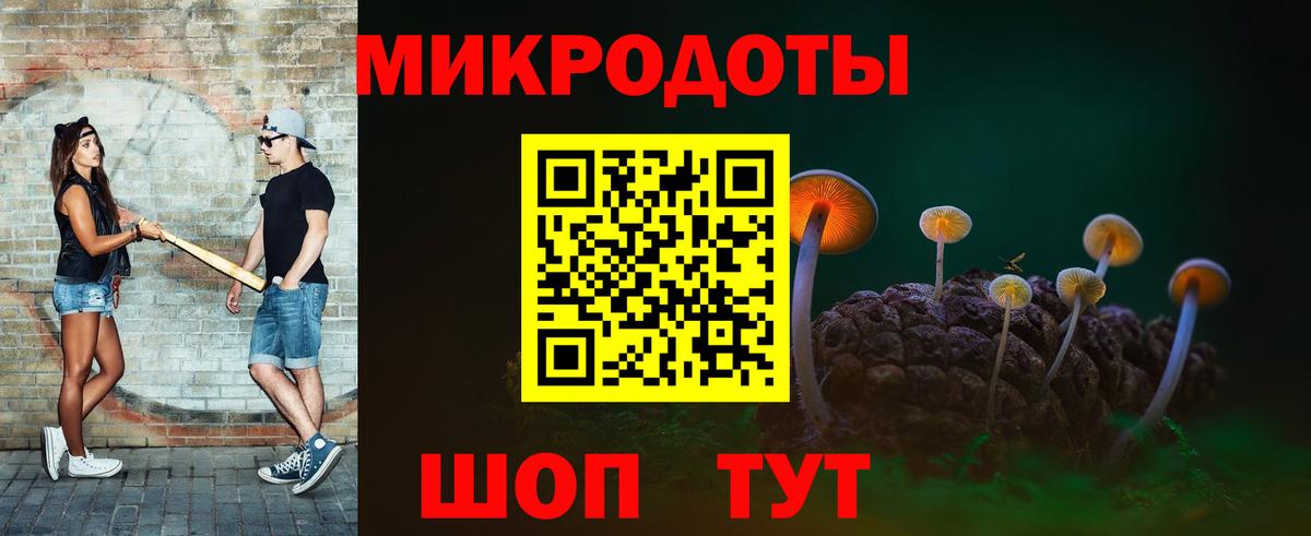 Галлюциногенные грибы Psilocybe Киселёвск
